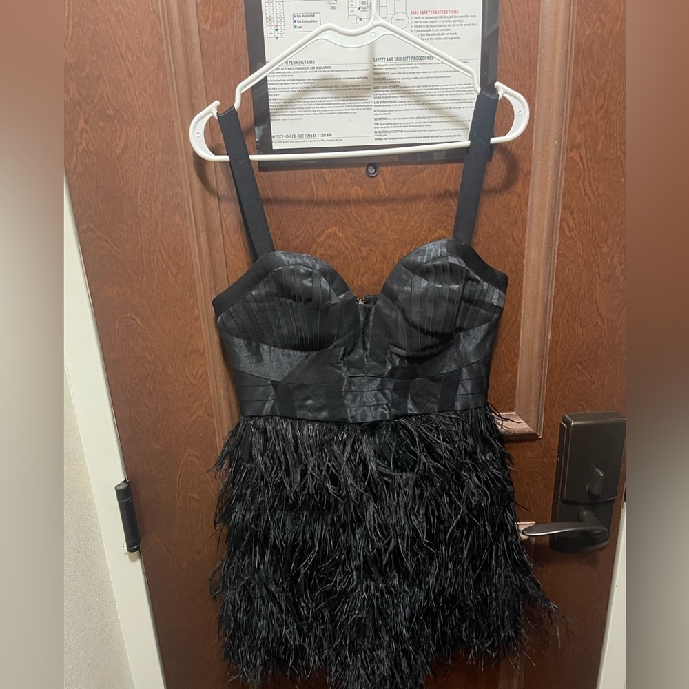 bebe Black Feathered Mini Dress Size 10